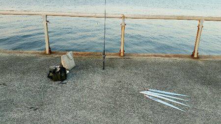 早朝タチウオ、F4級3連荘！今年は大型が多いです。